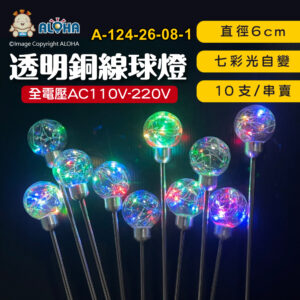 阿囉哈LED總匯_A-124-26-08-1_6cm-七彩光-透明銅線球燈-不銹鋼桿子-10支／串 全電壓 插地燈