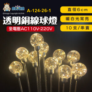 阿囉哈LED總匯_A-124-26-1_6cm-暖白光-透明銅線球燈-不銹鋼桿子-10支／串 全電壓 插地燈