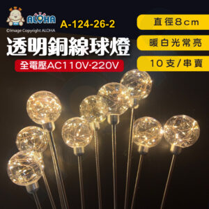阿囉哈LED總匯_A-124-26-2_8cm-暖白光-透明銅線球燈-不銹鋼桿子-10支／串 全電壓 插地燈
