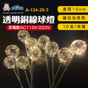 阿囉哈LED總匯_A-124-26-3_10cm-暖白光-透明銅線球燈-不銹鋼桿子-10支／串 全電壓 插地燈