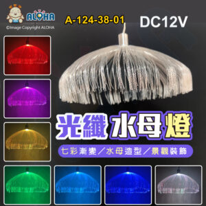 阿囉哈LED總匯_A-124-38-01_七彩漸變-光纖水母燈-1顆／賣-DC12V