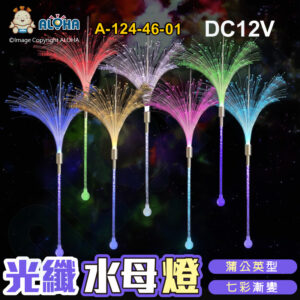 阿囉哈LED總匯_A-124-46-01_七彩-蒲公英-水母燈-1顆／賣-DC12V