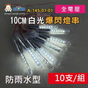 阿囉哈LED總匯_A-145-01-01_白光-LED爆閃雙面10支／串-12顆2835/支-3W-防雨水型