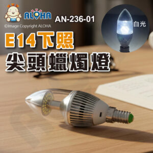 阿囉哈LED總匯_AN-236-01_E14下照-40顆3014白光400LM尖頭蠟燭燈-銀體