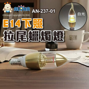阿囉哈LED總匯_AN-237-01_E14下照-30顆3014白光300LM拉尾蠟燭燈-金體