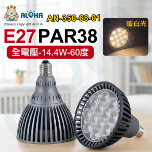 阿囉哈LED總匯_AN-350-68-01 _PAR38-E27-全電壓-暖白光-12燈2950K-60度-72B-鐵灰-台灣製造