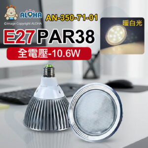 阿囉哈LED總匯_AN-350-71-01 _PAR38-E27-日本NICHIA暖白光-12燈3500K-銀加蓋-全電壓-台灣製造