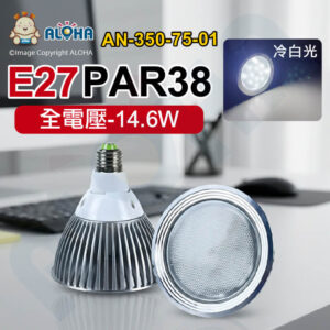 阿囉哈LED總匯_AN-350-75-01 _PAR38-E27-日本NICHIA冷白光-9燈5000K-銀加蓋-全電壓-台灣製造P384