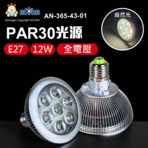 阿囉哈LED總匯_AN-365-43-01_12W-PAR30-E27-自然光-550流明-銀色面-全電壓