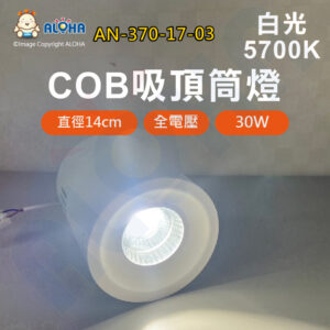 阿囉哈LED總匯_AN-370-17-03_30W-COB吸頂白色筒燈-白光5700K-24度-直徑14cm-全電壓