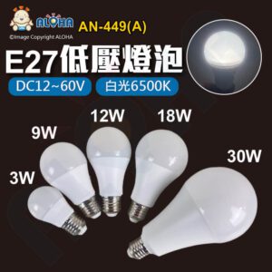 阿囉哈LED總匯_AN-449(A)_DC12~60V-多種W數-白光6500K-E27低壓燈泡