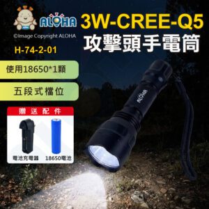 阿囉哈LED總匯_H-74-2-01_3W-CREE-Q5-五段式-攻擊頭手電筒套裝（電池x1+充電器x1）-C8