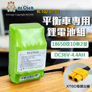 阿囉哈LED_R-102-01-01-18650改10串2並-DC36V-4.4AH-平衡車專用電池