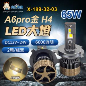 阿囉哈LED總匯_X-189-32-03_H4-DC12V~24V-65W（6000流明）×2顆-4300K-LED大燈-CSP添鑫-A6pro金