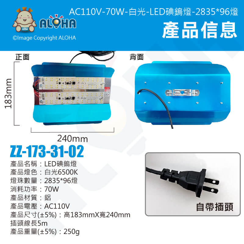 ZZ-173-31-02_03.jpg