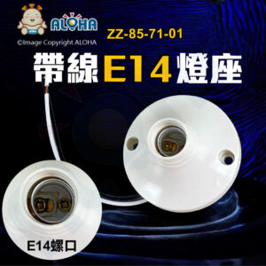 阿囉哈LED總匯_ZZ-85-71-01_E14出線15cm-老化燈座-白色