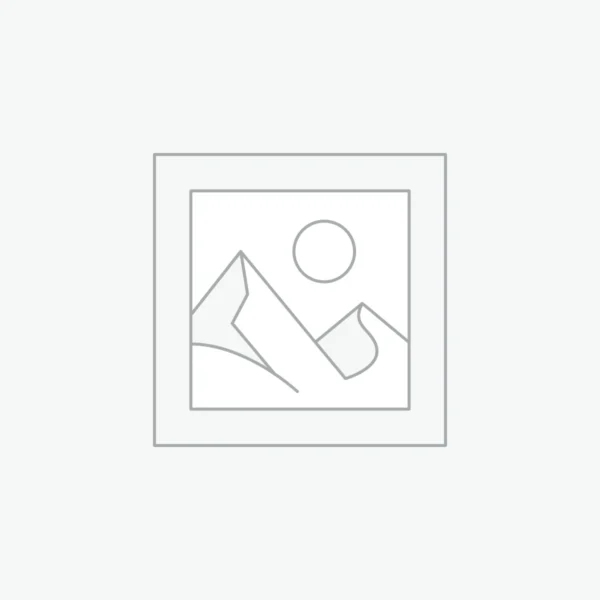 預設資料
